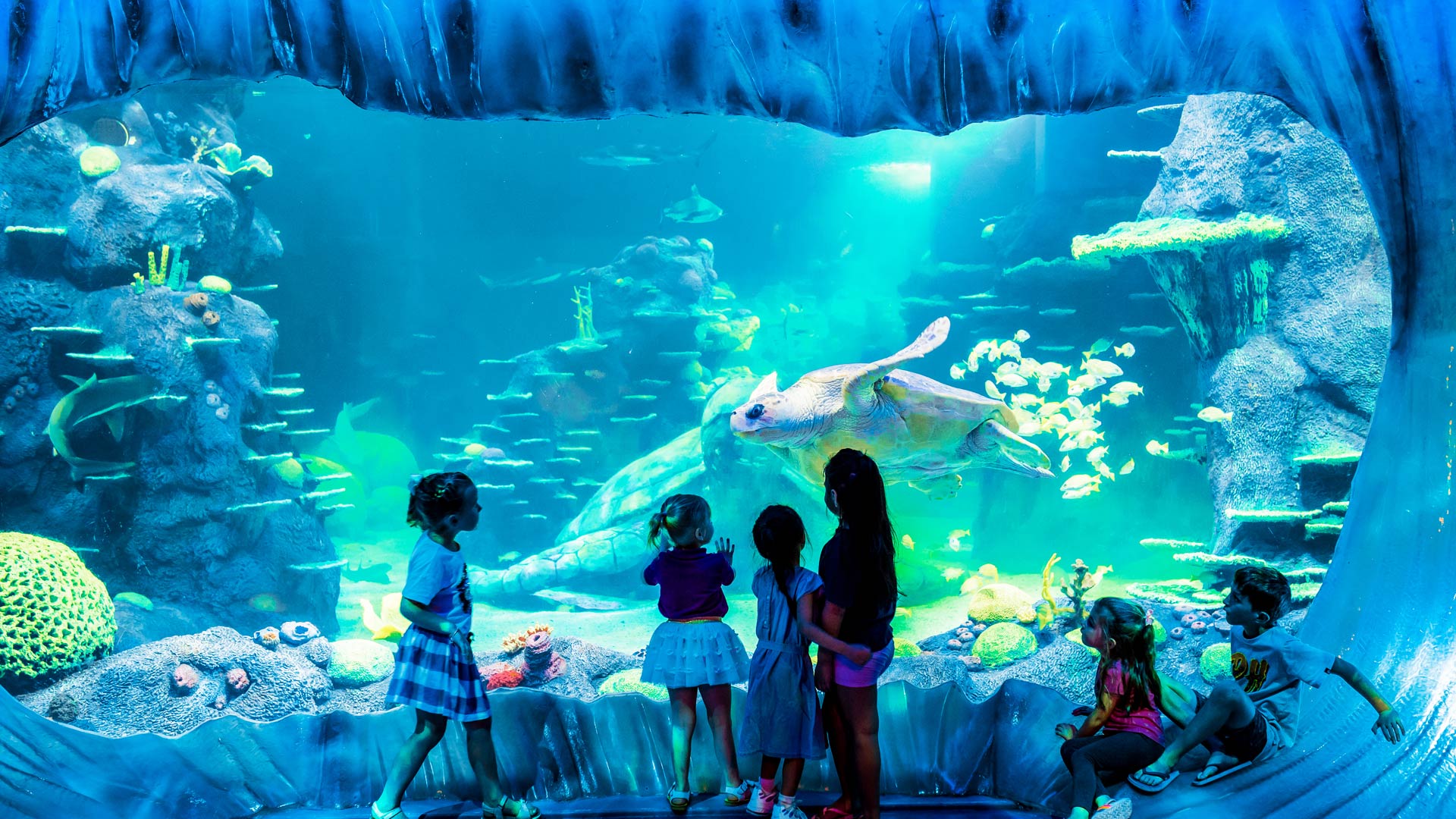 GREAT BARRIER REEF EXHIBIT, SYDNEY AQUARIUM
